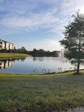 Imagine School At Lakewood Ranch