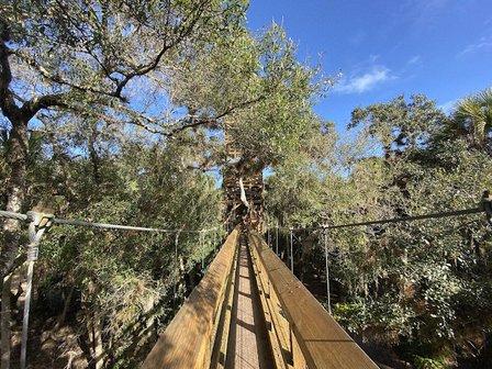 Myakka Canopy Walkway and Observation Tower
