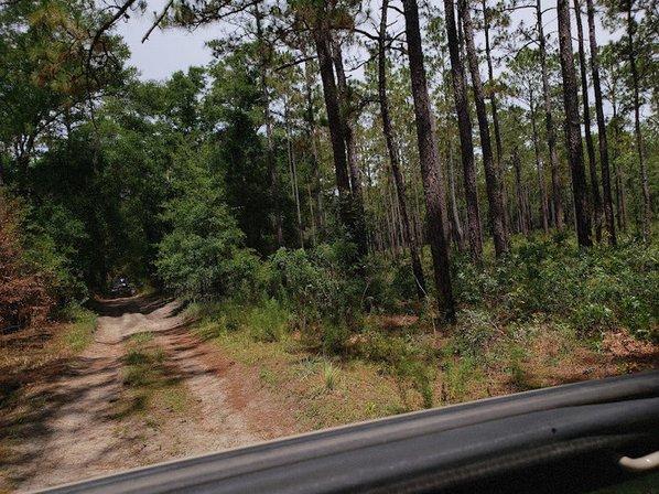 Croom Wildlife Management Area