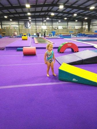 Top Contenders Gymnastics