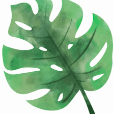 Essentials Massage & Facials of Springhill & Brooksville