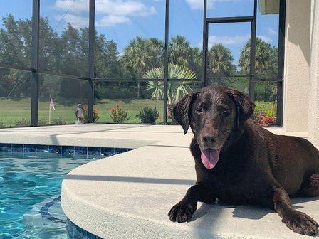 Braden River Animal Hospital