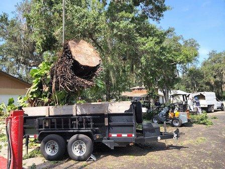 Jacob Gilliam Tree Care