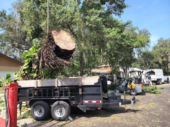 Jacob Gilliam Tree Care