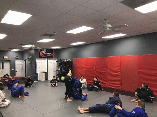 Primal Striking and BJJ