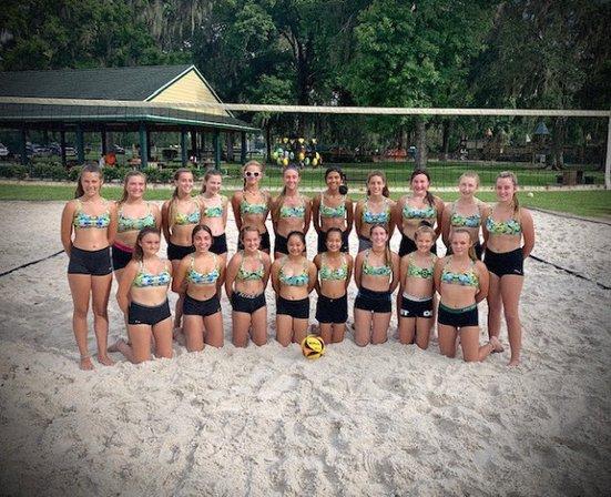 Hernando Elite Volleyball Club
