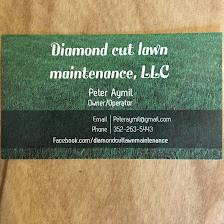 Diamond Cut Lawn Maintenance LLC