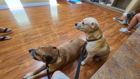 Tarpon Animal Hospital