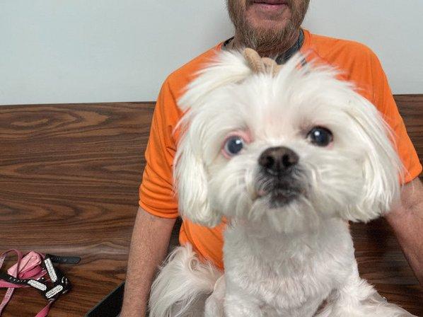 Dunedin Animal Medical Center & Pet Boarding