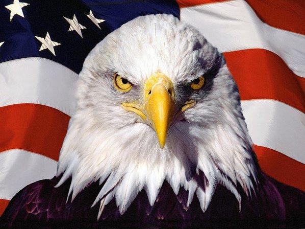 A American Bonding