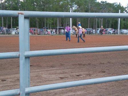 Stokes Green Swamp Ranch