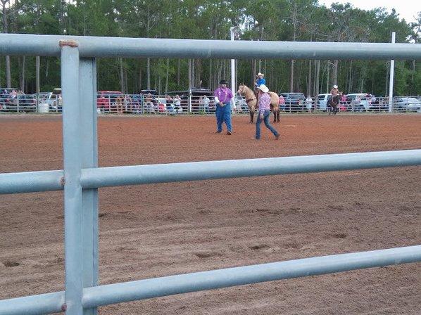 Stokes Green Swamp Ranch