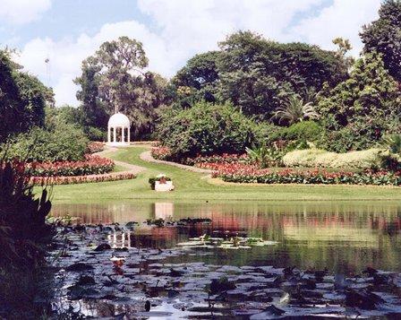 Cypress Gardens