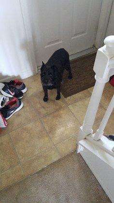 Pooch’s Plus Pet Lodge LLC