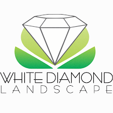 White Diamond Landscape