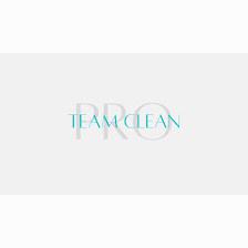 Team Pro Clean LLC