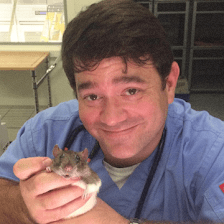 Garner Veterinary Services- Dr. Kelley Garner (JACARANDA ANIMAL HOSPITAL)