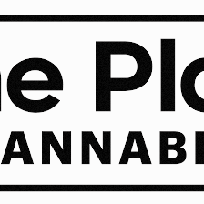 One Plant Cannabis - Spring Hill Dispensary