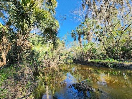 Alafia River Reserve