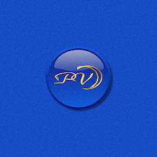 Premier Video Productions & Litigation Services Inc