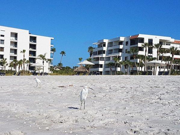 Tencon Beach Association