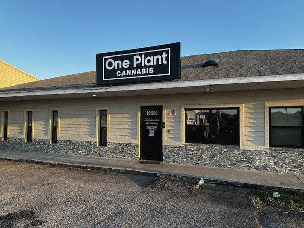 One Plant Cannabis - Spring Hill Dispensary