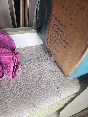 Store Your Stuff Frostproof