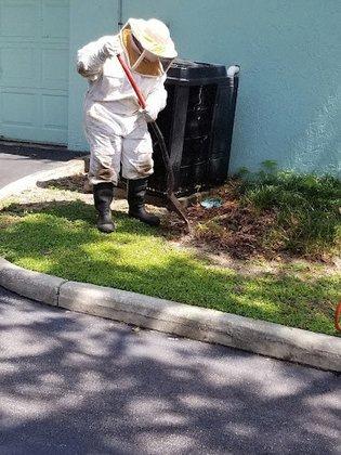 Bug's Bee-Ware Exterminating