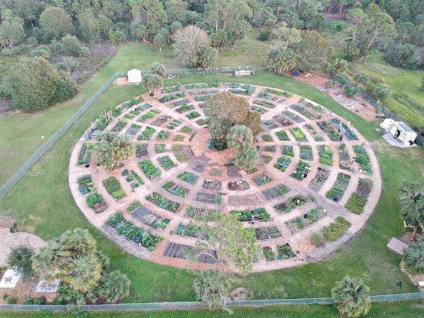 Culverhouse Community Garden