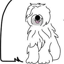 University Animal Clinic