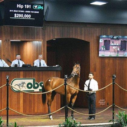 Ocala Breeders Feed & Supply Corp./Mill Location