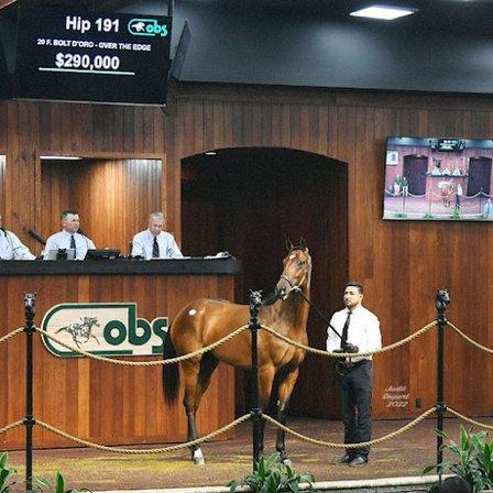 Ocala Breeders Feed & Supply Corp./Mill Location
