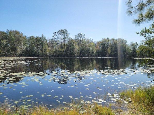Cypress Creek Preserve