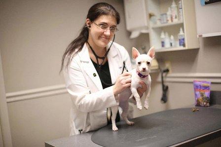 Animal Hospital of Dunedin