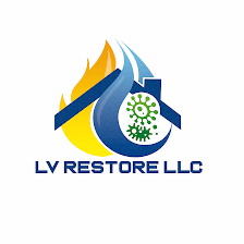LV LLC