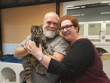 Manatee County Animal Welfare Cat Town