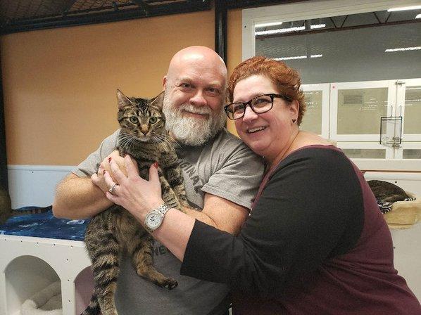 Manatee County Animal Welfare Cat Town