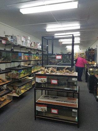 Herp Hobby Shop Reptile Breeding Center