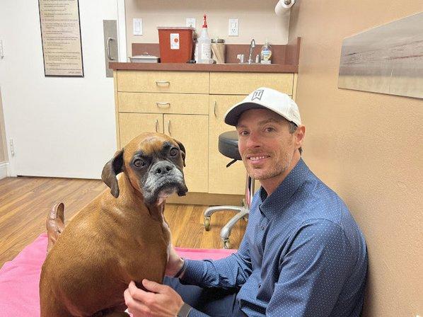 Main Street Animal Hospital