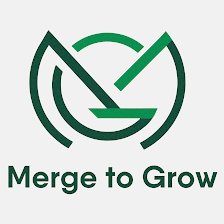 MERGE TO GROW LLC