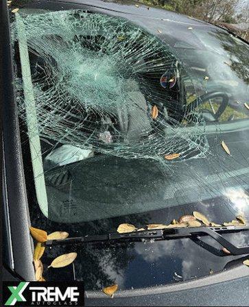 Xtreme Auto Glass