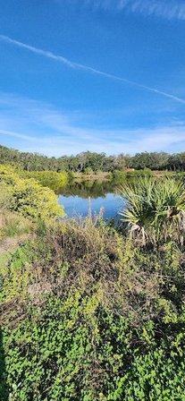 Terra Ceia Preserve Trail Head