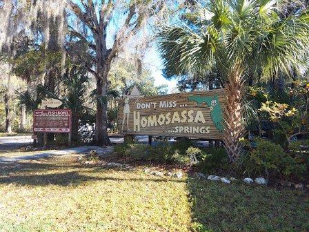 Homosassa Springs State Park Adventures