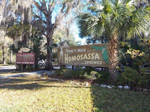 Homosassa Springs State Park Adventures
