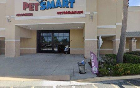 PetSmart Dog Training