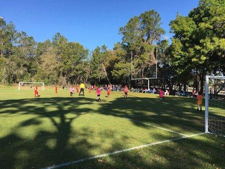 Tarpon Springs Youth Soccer