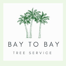 Bay to bay tree service and land clearing inc.