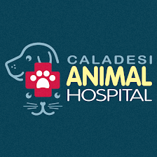 Caladesi Animal Hospital