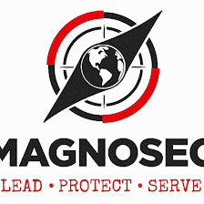 MagnoSec, Corp. (Security)