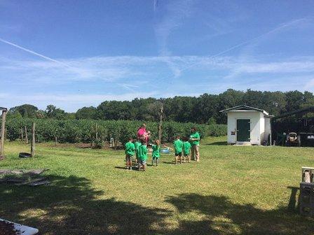 Shady Oak Farm